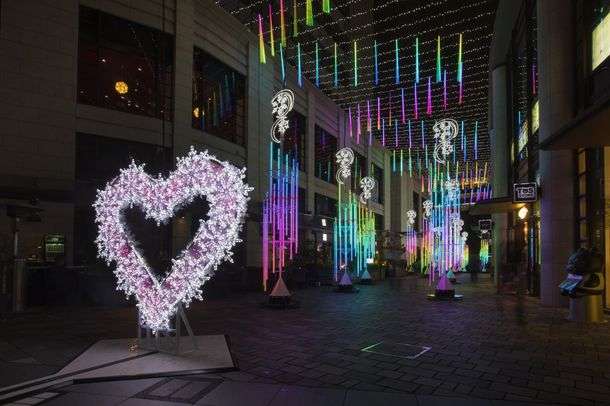 赤楚衛二、“毎年恒例”クリスマス写真撮影でハプニング「今年もありがとう」「真剣モードで可愛い」と反響続々