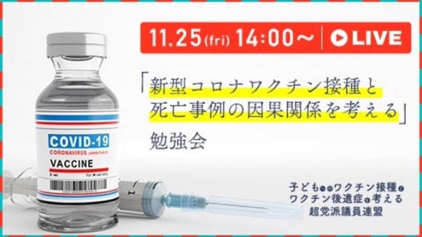 「新型コロナワクチン接種と死亡事例の因果関係を考える」勉強会【子どもへのワクチン接種とワクチン後遺症を考える超党派議員連盟】 | OPENREC.tv (オープンレック)