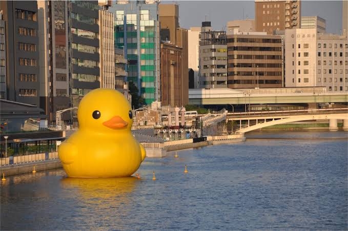 アヒルとアヒル口の画像を交互に貼るトピ　Part3