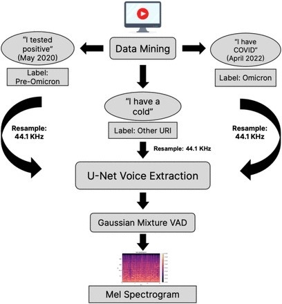 YouTuberがコロナに感染してるか分析するAI　動画内の音声を解析　米国と英国の研究チームが開発（ITmedia NEWS） - Yahoo!ニュース