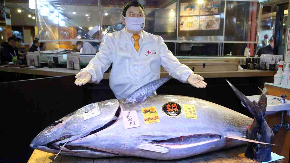 豊洲 マグロの初競り　「すしざんまい」の名前が出てこなくなったわけ  –  ニッポン放送 NEWS ONLINE