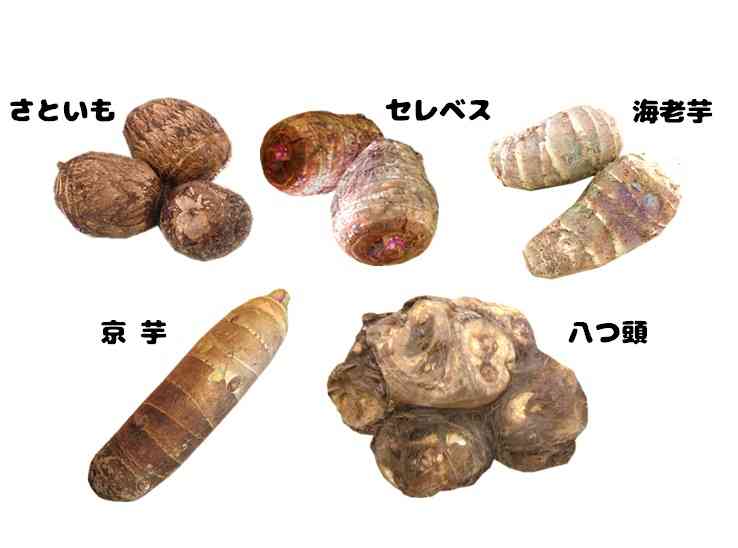 内山理名、正月の手料理が見事！いくら入り雑煮など…しめ縄も超おしゃれ