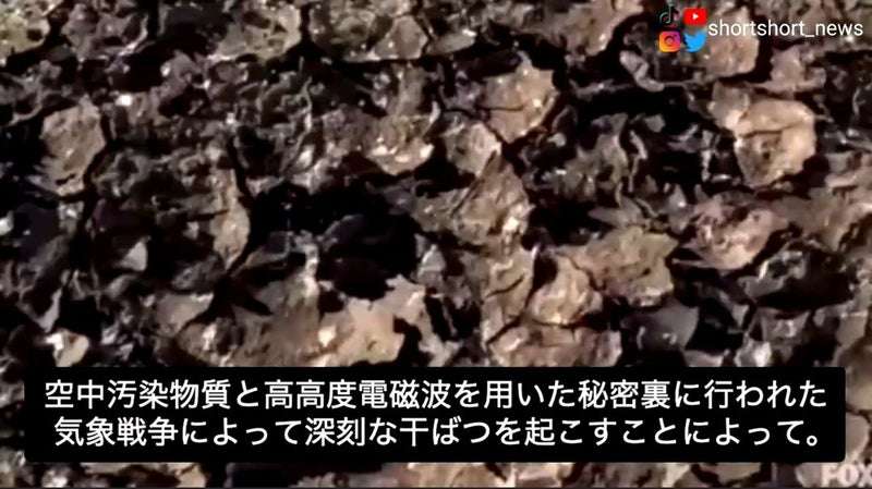 ジョコビッチ3、4月の米国大会を欠場へ「できることは何もない」空路入国にワクチン接種必要