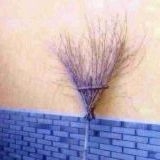 【微アダルト】エロくないのに、見える人にはそう見えちゃう画像