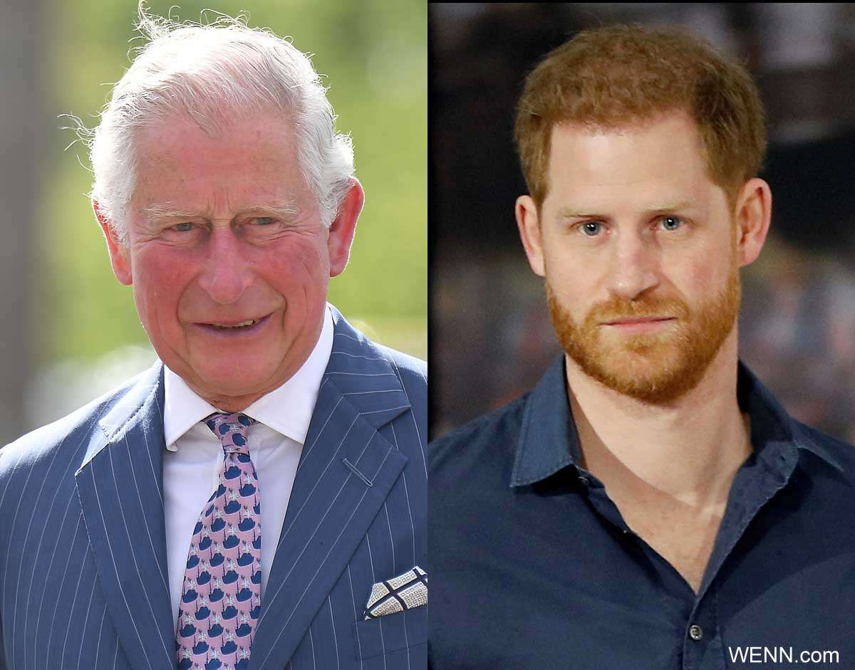 チャールズ皇太子、人種差別する意図はなかった？ 孫アーチーくんの「肌の色はどのくらい濃くなるのか」発言の真意が明らかに・・イギリス王室内で起きている激しい派閥争いも関係していた・・？ - tvgroove