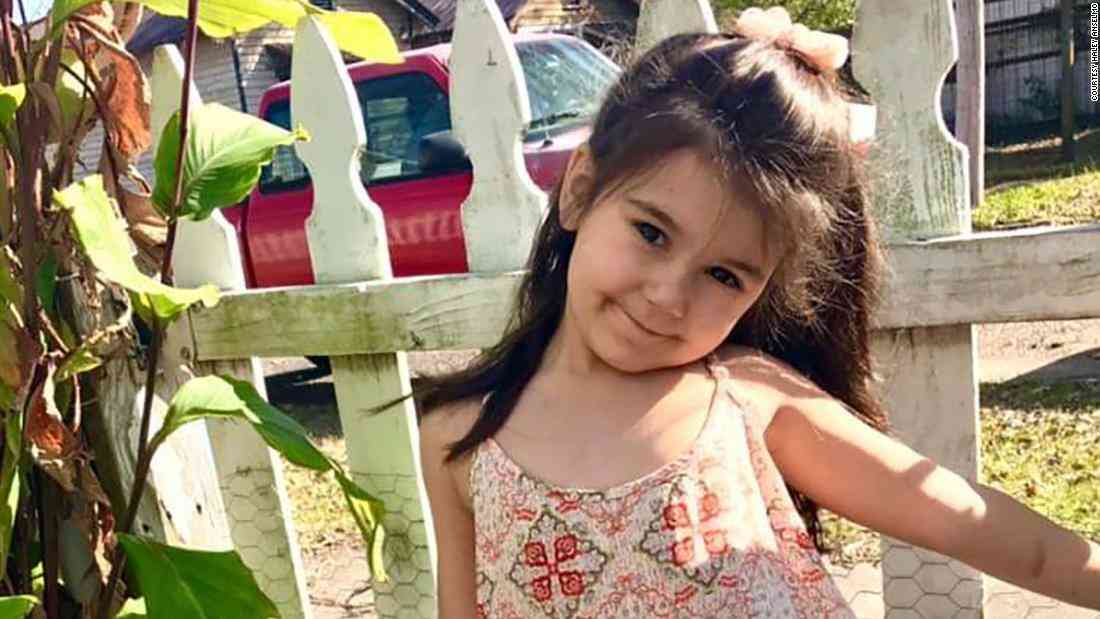 ７歳女児が犬に襲われ死亡、飼い主を逮捕　米ルイジアナ州（CNN.co.jp） - Yahoo!ニュース