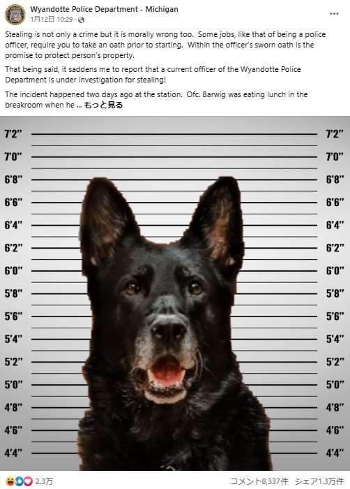 【海外発！Breaking News】「現職の警察官を窃盗容疑で捜査するのは悲しい」容疑者の姿を投稿した警察署に「無罪を！」の声（米） | Techinsight（テックインサイト）|海外セレブ、国内エンタメのオンリーワンをお届けするニュースサイト