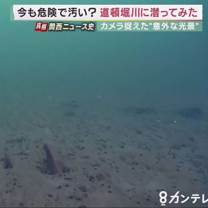 「アユが住める水質にまで改善」した道頓堀川　かつては「危険で汚い」歴史も…水中でカメラがとらえた「魚の群れ」 | 特集 | 報道ランナー | ニュース | 関西テレビ放送 カンテレ