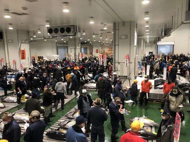 新春恒例の初競り「一番マグロ」3604万円で落札　豊洲市場