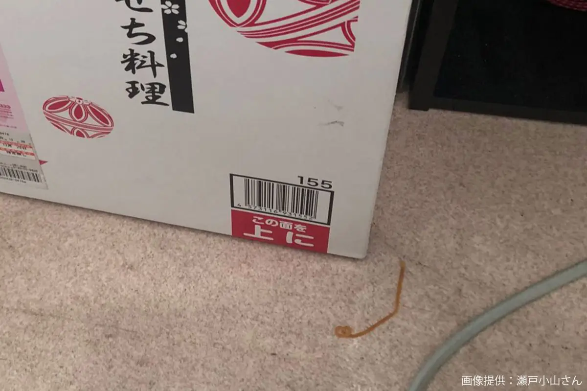 置き配で届いたおせち、その状態に目を疑う 「酷すぎる」と疑問の声上がるも…