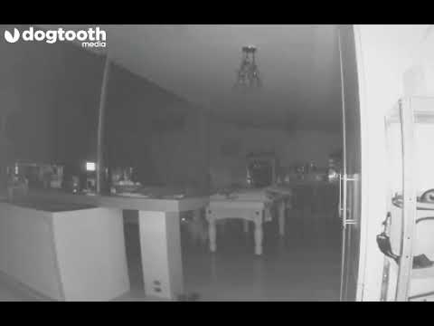 Ghost Spotted Walking Family Dog || Dogtooth Media - YouTube