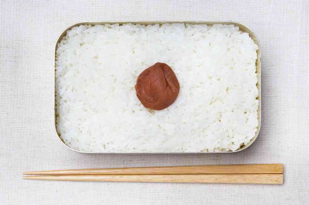 お弁当に「梅干し」を入れても食品の傷みは防げない？ 梅干しの殺菌・防腐効果とは | オトナンサー