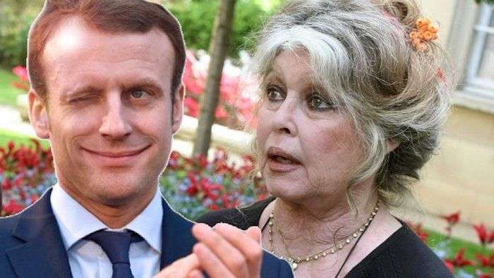 Brigitte Bardot: Rothschild Bankster Macron Is A Cold-Eyed Psychopath
