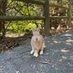 ぱなんこった on Twitter: 