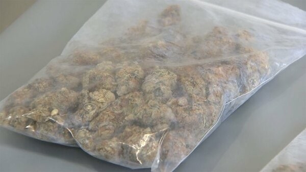 【速報】高校生ら6人 “密売目的”大麻所持で逮捕　交通事故起こし車内から発見　アジトも摘発　警視庁｜FNNプライムオンライン