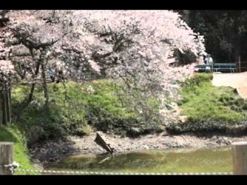 ビリーバンバン　遅すぎた季節 - YouTube