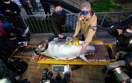 新春恒例の初競り「一番マグロ」3604万円で落札 豊洲市場