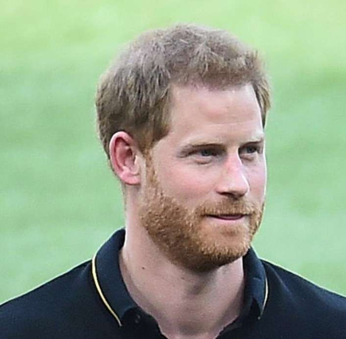 ヘンリー王子、米国滞在が危機に？回顧録の中で過去の違法薬物使用を告白　英ミラー紙など報じる（日刊スポーツ） - Yahoo!ニュース