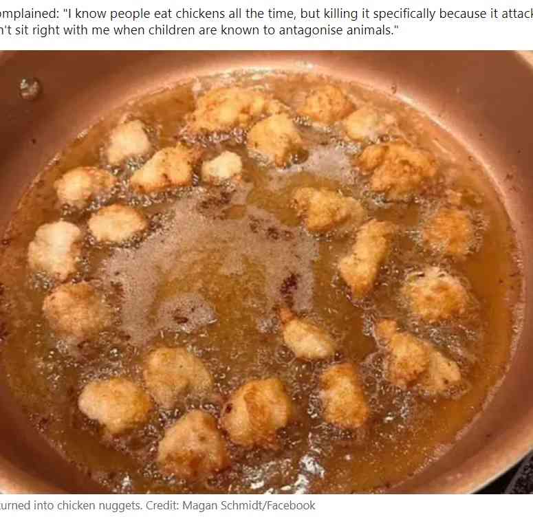 【海外発！Breaking News】ペットの雄鶏に娘の顔を突かれた母、チキンナゲットにして食べて大炎上（米） | Techinsight（テックインサイト）|海外セレブ、国内エンタメのオンリーワンをお届けするニュースサイト