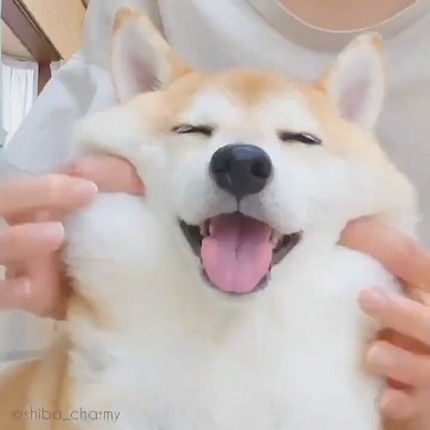 肌の弾力がほしい