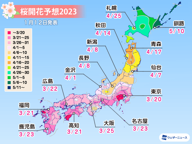 桜開花予想2023　全国トップは東京で3月20日　各地とも平年並みか早い予想 - ウェザーニュース