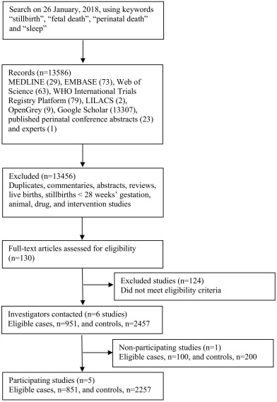 An Individual Participant Data Meta-analysis of Maternal Going-to-Sleep Position, Interactions with Fetal Vulnerability, and the Risk of Late Stillbirth - eClinicalMedicine