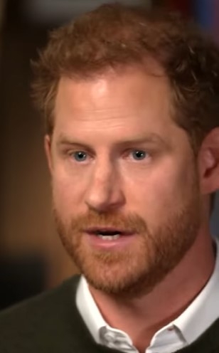 【イタすぎるセレブ達】ヘンリー王子「父と兄を取り戻したい」の真意　本当の「敵」は英王室そのものか？ | Techinsight（テックインサイト）|海外セレブ、国内エンタメのオンリーワンをお届けするニュースサイト