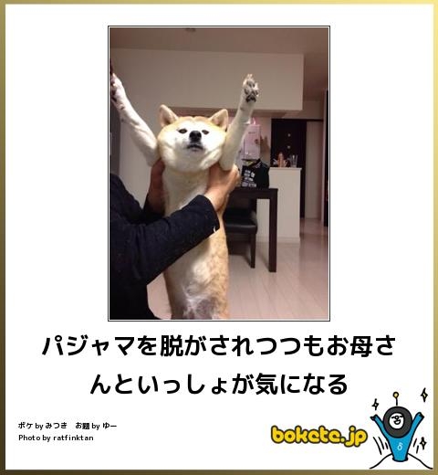 何度見ても秀逸だと思う「bokete」を貼っていくトピPart11