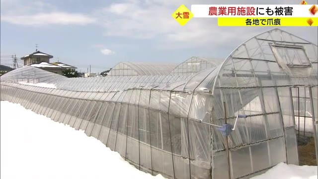 大雪で農業用ハウス約５０棟が損壊…メロンやイチゴ栽培に影響（島根・安来市）（TSKさんいん中央テレビ） - Yahoo!ニュース