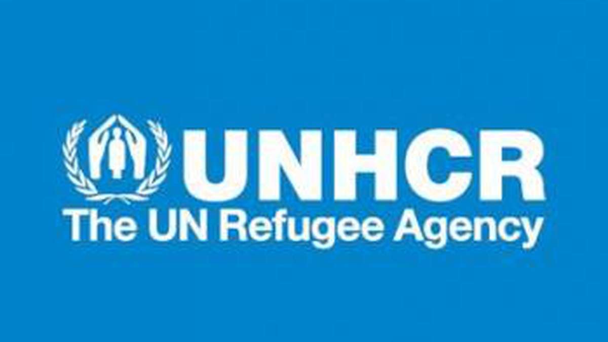 Majority of human rights violations in Ukraine committed by militants - UN