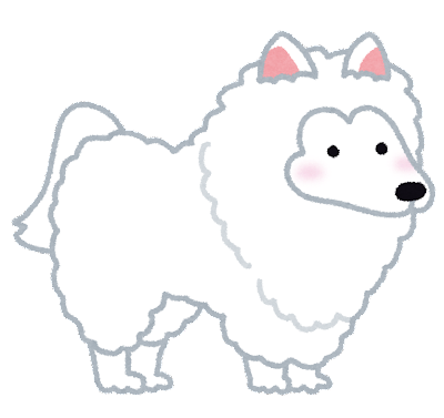 【相談】犬の反抗期【しつけ】