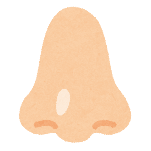鼻ほじると鼻の穴大きくなりますか?