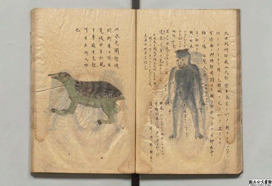 ツチノコ発見なるか?賞金131万円 5月に4年ぶりフェス 岐阜