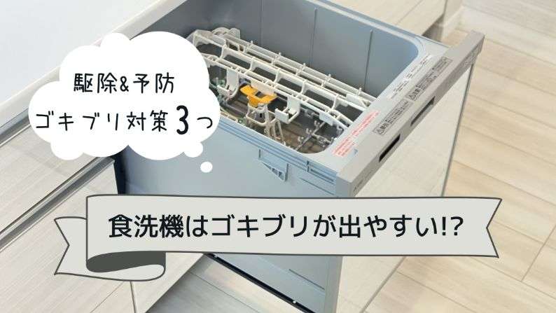 食洗機にゴキブリが出やすい理由と3つの対策・駆除方法 | ぐるりのそら