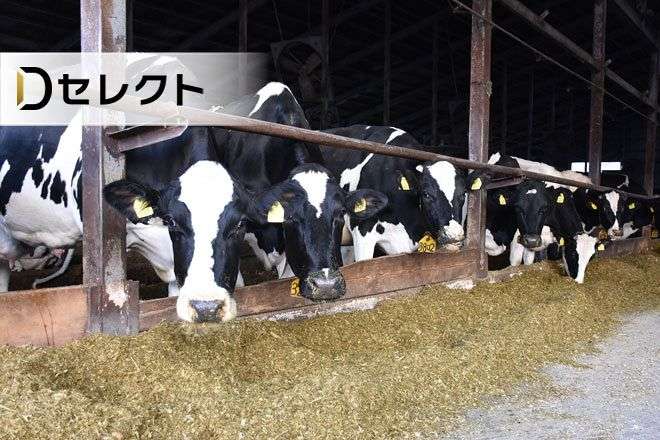 ＜デジタル発＞必要ない乳製品、大量輸入の謎　米国の圧力が怖くて仕方なく？　運用見直し求める声：北海道新聞デジタル
