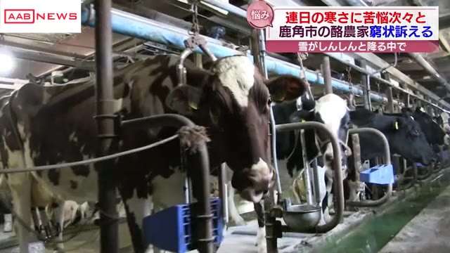 厳冬の鹿角市　燃料・飼料高騰で酪農家の経営圧迫、厳しい冬に　/秋田（秋田朝日放送） - Yahoo!ニュース