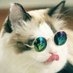 【公式】K@のサブ垢?? on Twitter: 