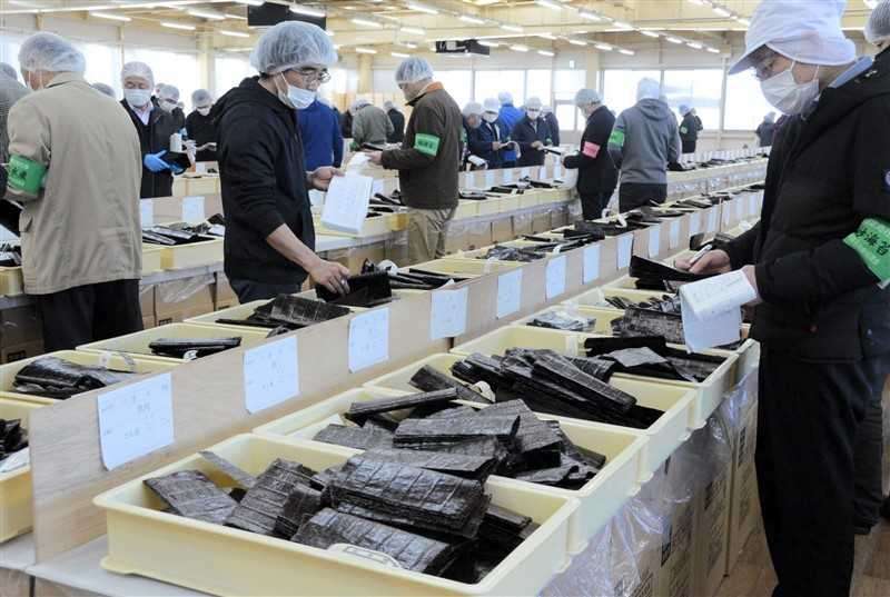 熊本産乾のり、入札会出品57%減　不作に寒波被害追い打ち　品薄で1枚30円の高値に　　（熊本日日新聞） - Yahoo!ニュース
