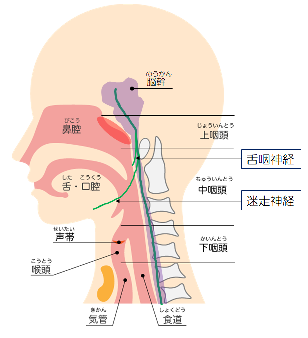 喉弱い人あるある