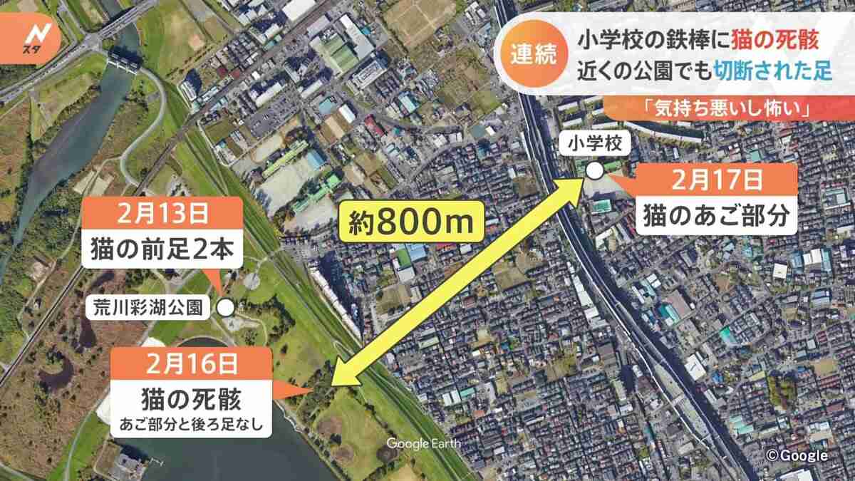 猫の“死骸”が小学校の鉄棒に 近くの公園でも切断された足が さいたま市