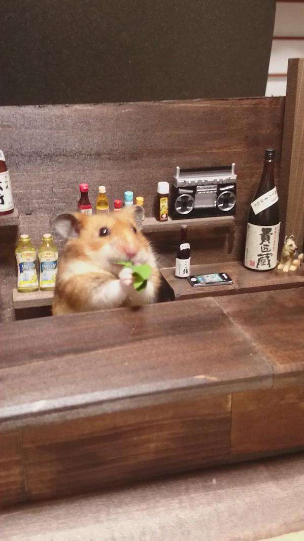 動物が食事しているところを見たい
