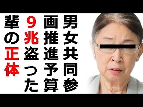 Colabo等NPO補助金2000億、男女共同参画推進関係予算9兆、SDGsに6.3兆、外国人生活保護1200億⇒日本国民はこれでも怒らず立ち上がらないの？Colabo騒動へNPO法人協会理事長ド正論 - YouTube