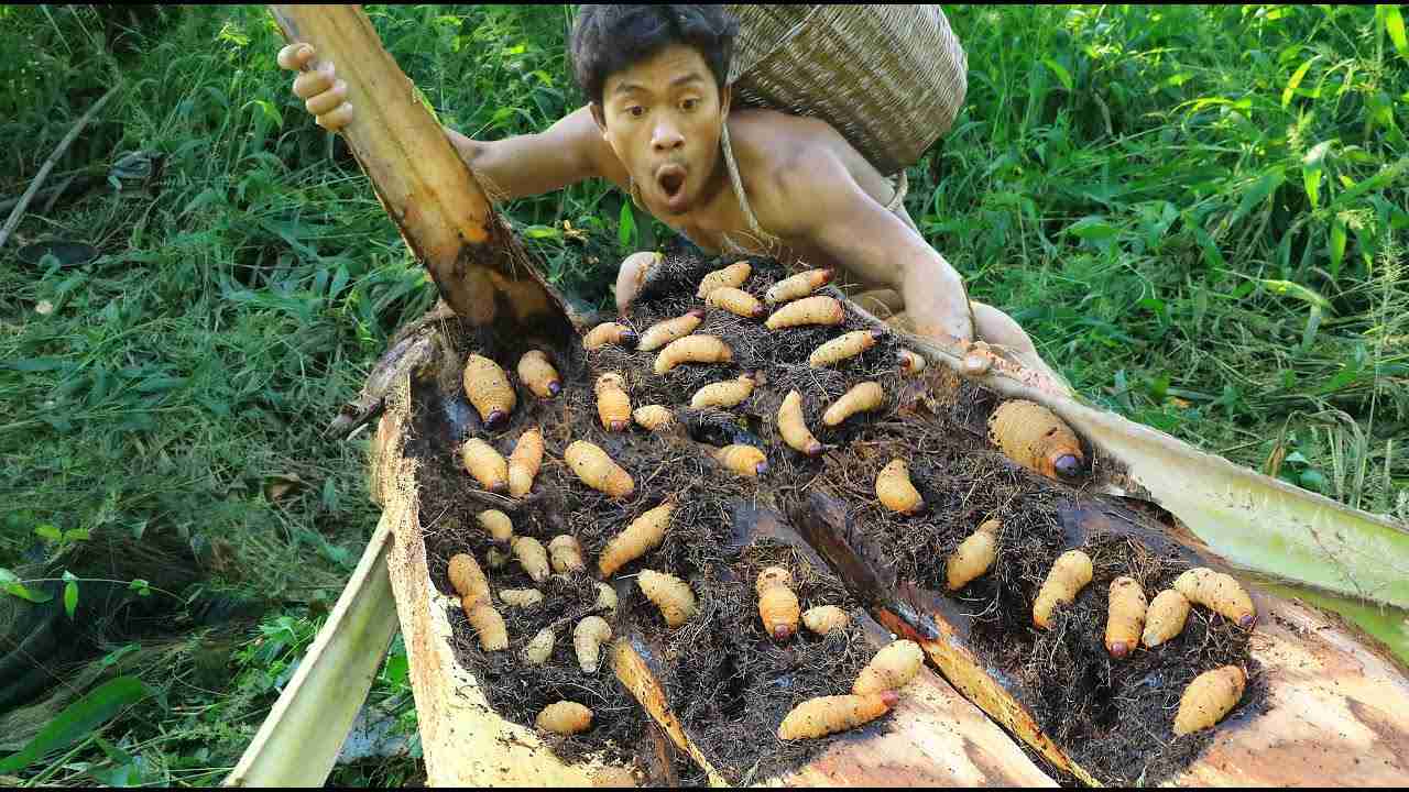 Cook Coconut worm Fillets delicious - Eat Coconut worm delicious - YouTube