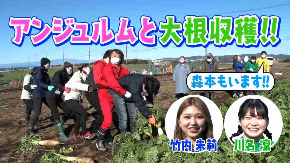 ホリケンのみんなともだち | TVer