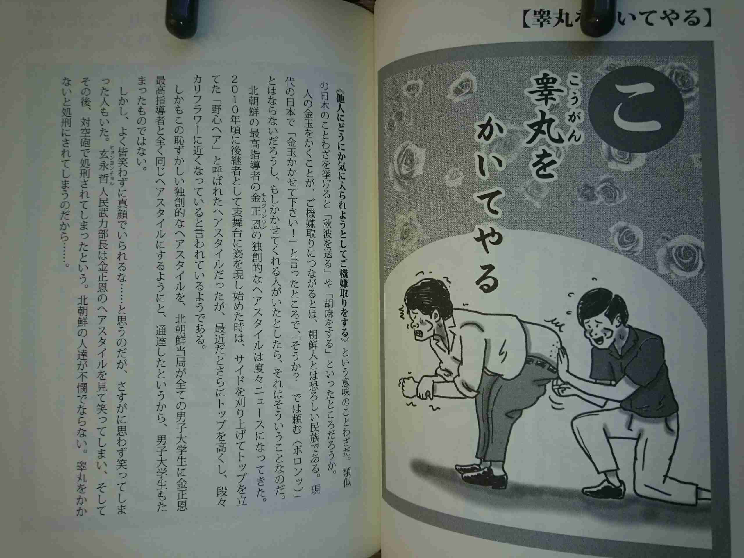 韓国のことわざ一覧。ひどいｗ「新版朝鮮カルタ韓国ことわざ１００選」より