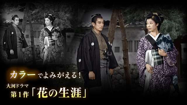 カラーでよみがえる!大河ドラマ第1作「花の生涯」 - NHK