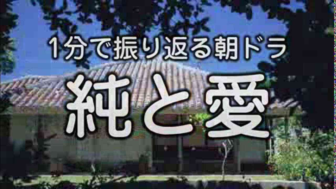 1分で振り返る朝ドラ『純と愛』（プTV） - YouTube