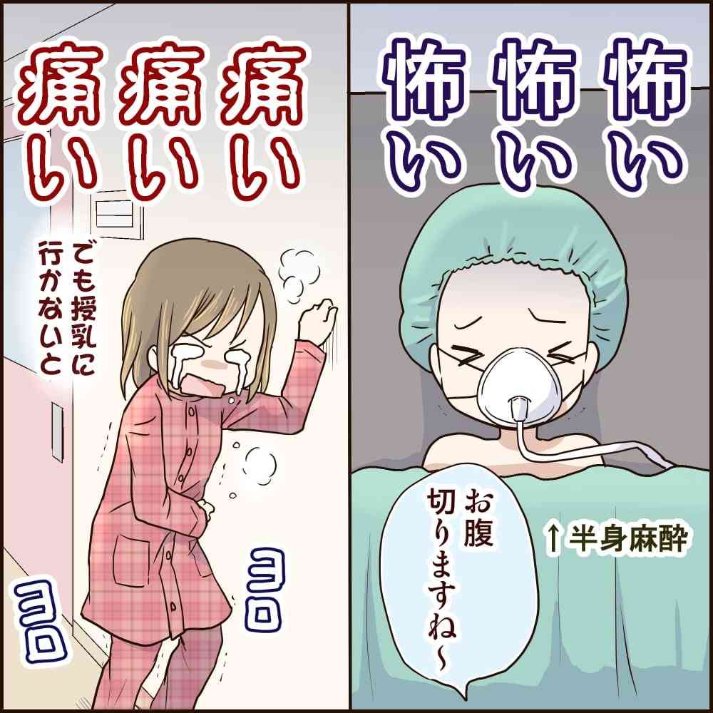 帝王切開経験者(する予定の方)
