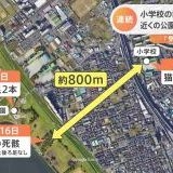 >>438何を知っててそんな言い切るの？整形だって進歩すごいから大して痛い思いしな... | ガールズちゃんねる - Girls Channel -