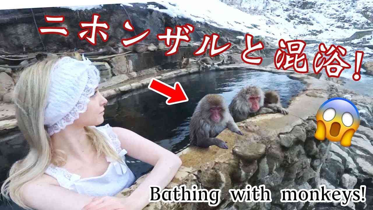 ニホンザルと外国人一緒に混浴温泉入った♨️? 長野旅館 - YouTube